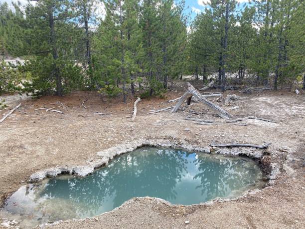 istock Grand Canyon of Yellowstone 1261819113