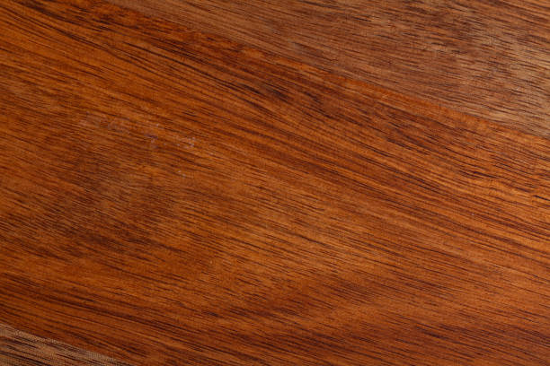 istock Brown bark wood texture. Natural wooden background 1261821376
