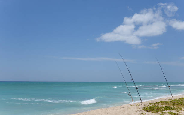 istock shore fishing 1261826852