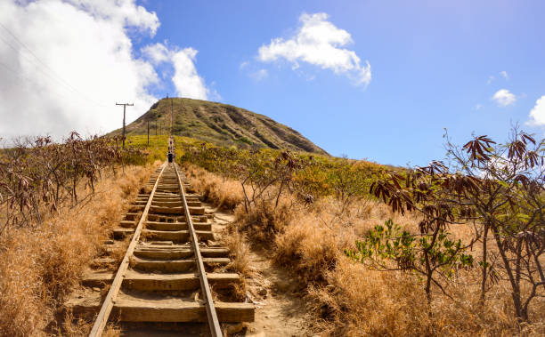 rail to the top
