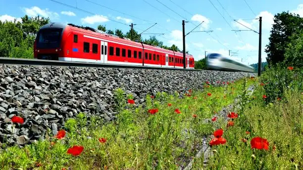 Two trains run on parallel tracks, in the foreground red poppy