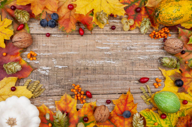 istock Autumn leaves, pumpkins, berries, nuts and hops. 1261837069