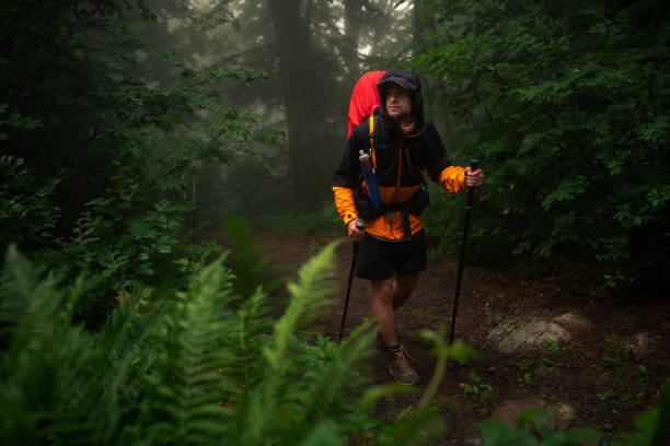 el viajero camina por el bosque - climbing equipment fotos fotografías e imágenes de stock