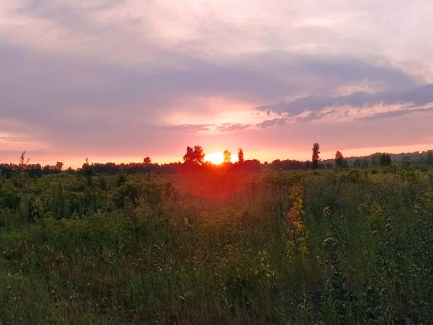 istock Wonderful July sunsets 1261868520