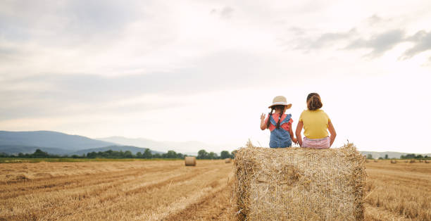 Serene siblings, sisters, enjoying a summer day in a wheat field sitting on a big round haystack bale.
