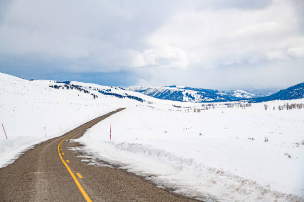 istock Yellowstone northern highway in winter snow 1261931803