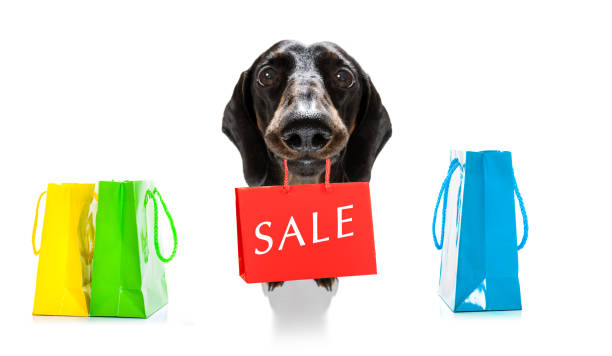 verkauf einkaufshund - christmas dachshund dog pets stock-fotos und bilder