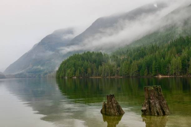 istock A Serene Canadian Lake 1261945814