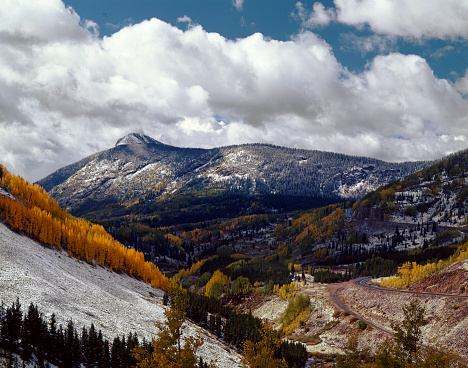 Fresh snow on Molas Pass in Colorado as the orange leaf color of the Aspen Trees stand out against the snow and cloudy blue sky