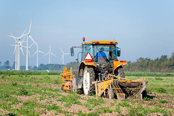 istock Farmer on tractor harvesting onions 126197053