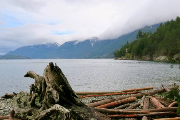 istock The Wild Canadian Shore 1261972844