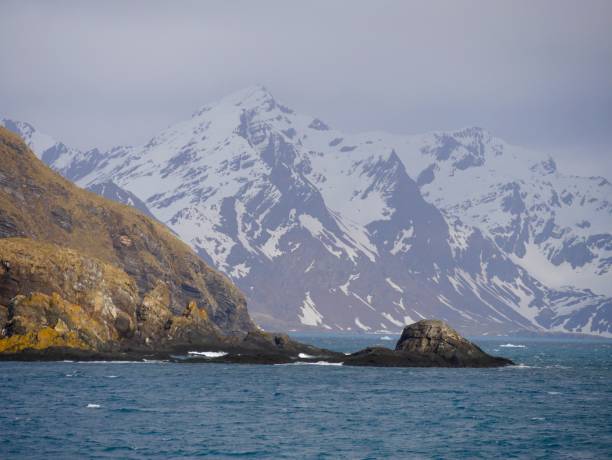 istock Mountain view across Grytviken Harbour 1261991074