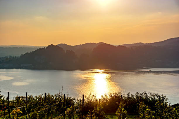 istock A Beautiful Sunset over vineyard overlooking the lake and mountains. 1262028630