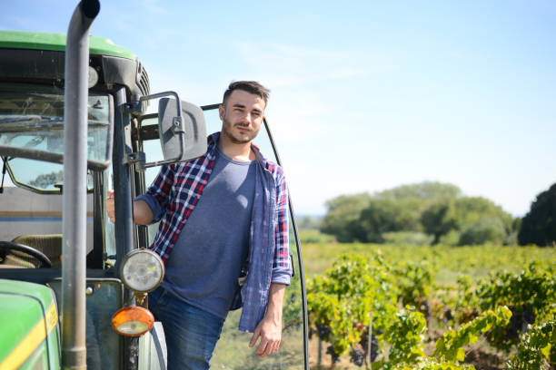 handsome man farmer in the field driving a tractor agriculture agronomy business equipment - vinery imagens e fotografias de stock