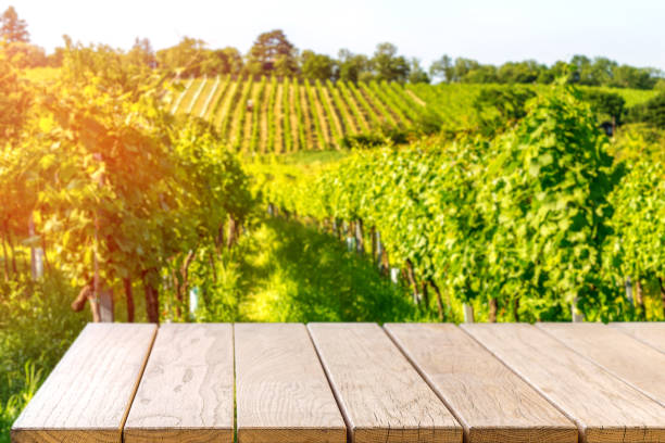 istock Table top with a Blackboard template against vineyard 1262038088
