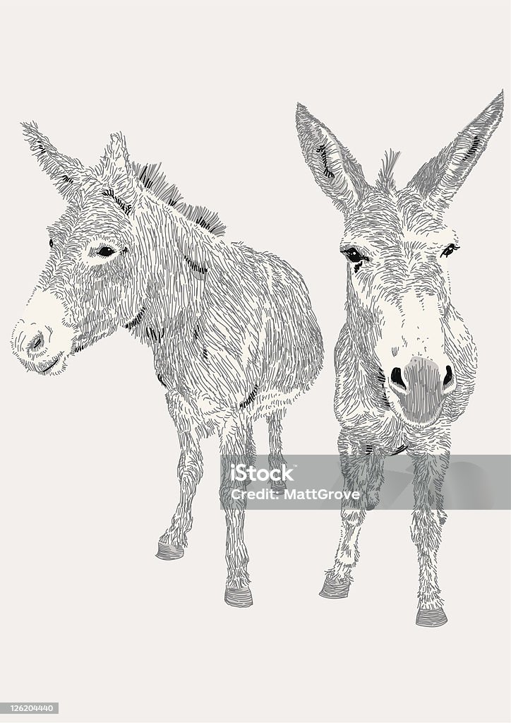 Dozy burros - arte vectorial de Burro - Animal libre de derechos