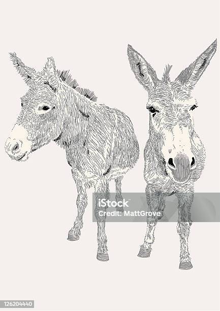 Ilustración de Dozy Burros y más Vectores Libres de Derechos de Burro - Animal - Burro - Animal, Mula, Ilustración