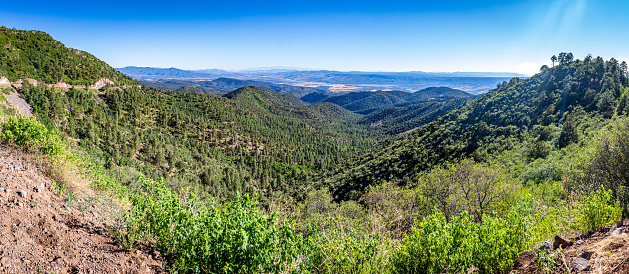 The Coronado Trail Scenic Byway connects Springerville and Clifton, Arizona in the Apache-Sitgreaves National Forest providing spectacular views with elevations reaching over 9,000 feet.