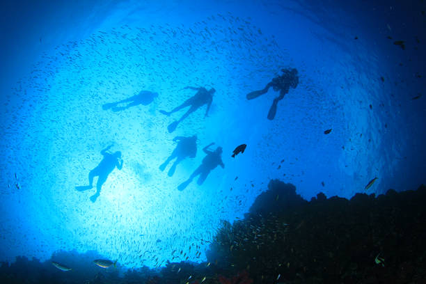 istock Scuba diving on coral reef with fish 1262057404