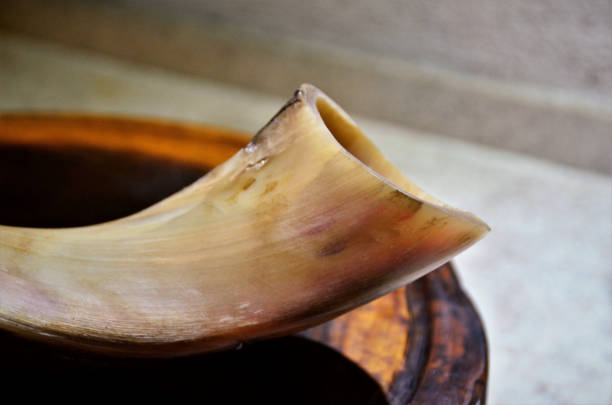 different horns at the medieval market
