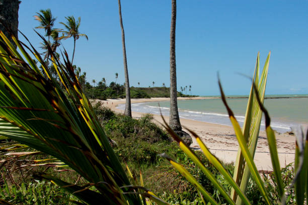 istock tip of moreira beach in meadow 1262095227