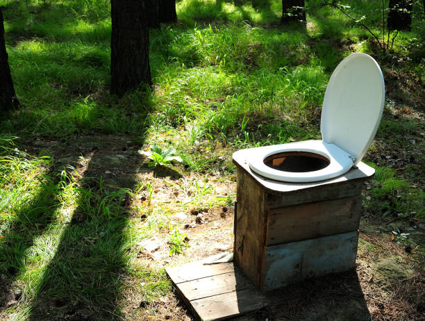 An improvised toilet bowl with an open lid stands in a coniferous forest. Close-up.