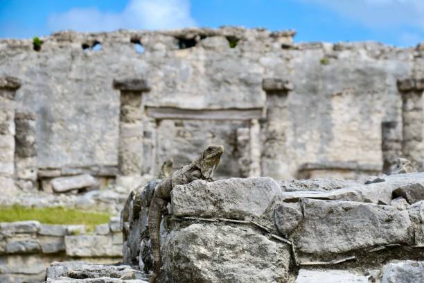 istock The Guardians of the Temple 1262115861