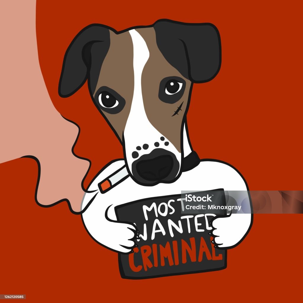 Jack Russell Dog Smoking Cigarette Most Wanted Criminal Cartoon Vector  Illustration Stock Illustration - Download Image Now - iStock