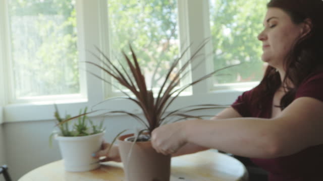 Millennial Female Caring for Two Potted Plants on a Bistro Table with Wood Top 4K Video