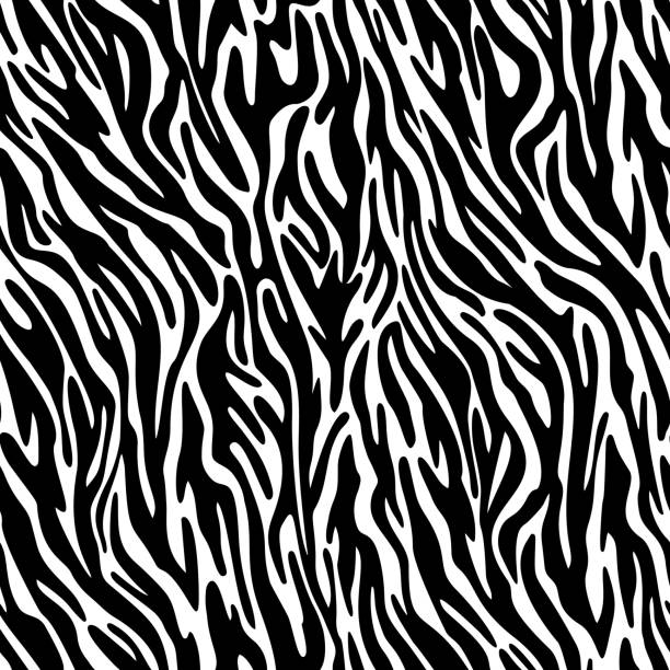 ilustraciones, imágenes clip art, dibujos animados e iconos de stock de patrón sin costuras de piel de cebra vectorial. piel animal rayas textura adorno. líneas onduladas curvadas ilustración de moda elegante para el diseño de tela y textil. - fondo de pantalla de cebra