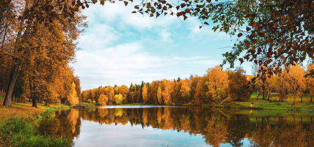 istock Beautiful autumn nature landscape in park 1262154329