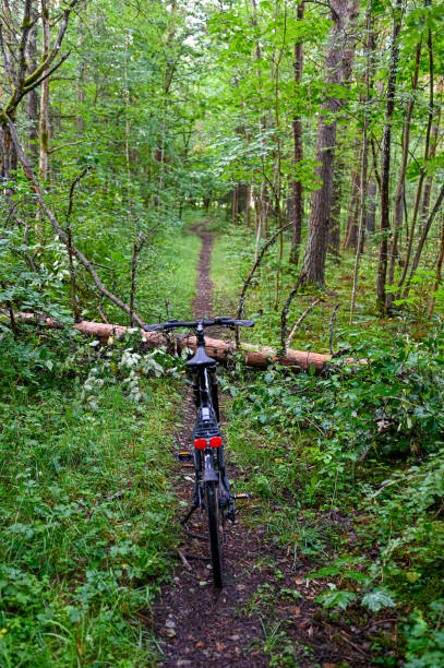 istock bicycle standing on trail infront of fallen tree trunk 1262154331