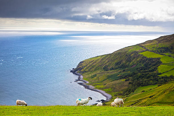 istock North Ireland Seascape 126216137