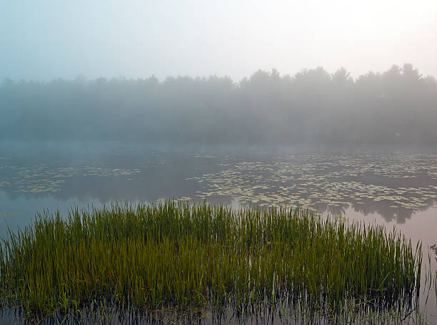 istock Silver Lake in the early morning 126216616