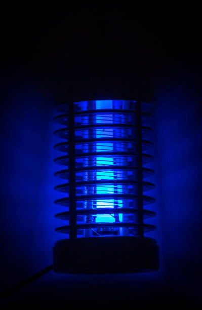 istock The night light is an insect killer 1262171417