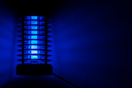 The blue light night light is an insect killer.
