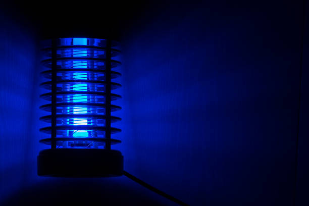 The night light is an insect killer The blue light night light is an insect killer. murderer stock pictures, royalty-free photos & images