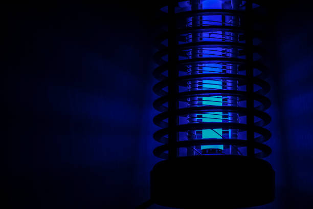 The blue light night light is an insect killer.