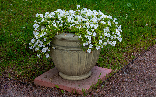 beautiful gypsum vase, flowerpot with flowers in the park.