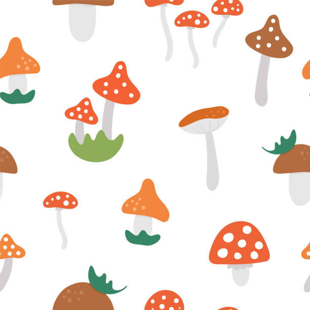 귀여운 버섯벡터 원활한 패턴. 가을 식물은 배경을 반복합니다. 플랫 스타일 데스 캡 장식. 흰색 배경에 재미 두꺼비 도구 질감 - 알광대버섯 stock illustrations