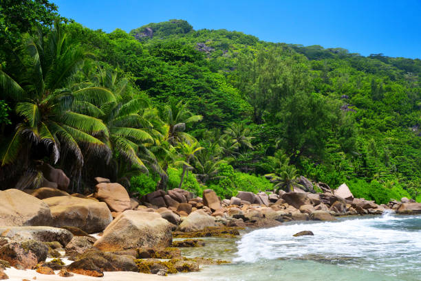 istock Anse Caiman beach in La Digue Island, Seyshelles. 1262186235