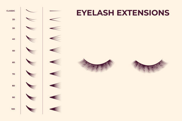 Eyelash volume boost set Eyelash volume boost set. Fake eyelashes cluster collection for extension process infographics and guides. Flat vector illustrations clump eyelashes stock illustrations
