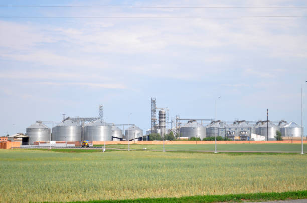 istock Large industrial elevator for storage and processing of grain crops 1262198931
