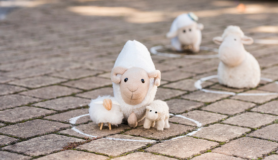 Shot of a soft toy sheep waiting in line far apart on sidewalk pavement to maintain social distance during covid-19 outbreak