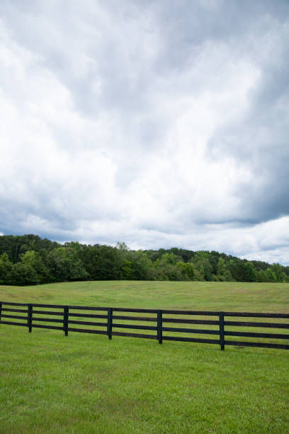 istock Emerald green meadow with horizon tree line, black rail fence and turbulent clouds, creative copy space 1262200793