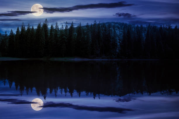 istock scenery around the lake in mountains at night 1262201156