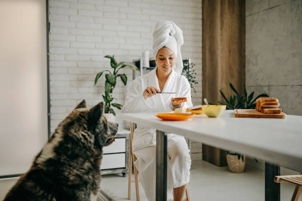 istock Beautiful morning with my dog 1262214728