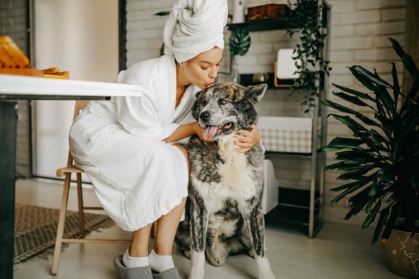 istock Beautiful morning with my dog 1262216237
