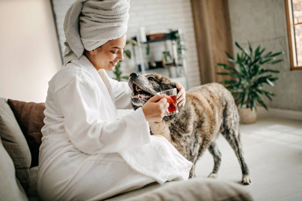 istock Beautiful morning with my dog 1262216238