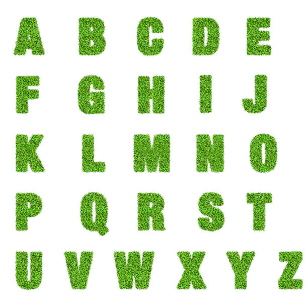 istock green leaf english  alphabet concept 1262216251